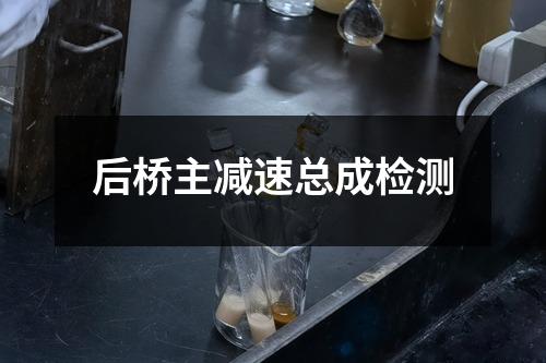 后桥主减速总成检测