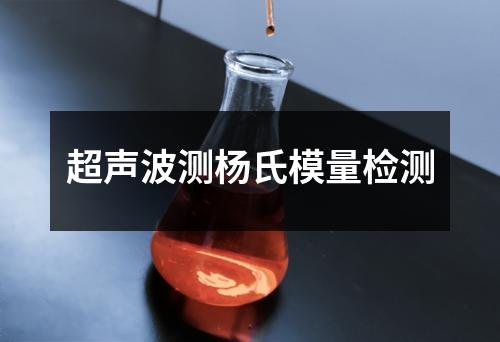 超声波测杨氏模量检测