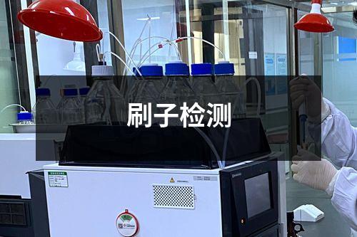 刷子检测