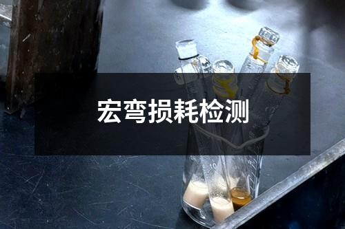 宏弯损耗检测