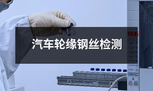 汽车轮缘钢丝检测