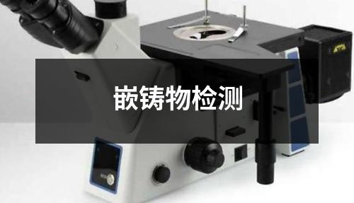 嵌铸物检测