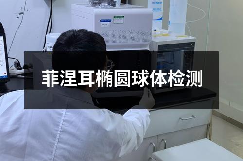 菲涅耳椭圆球体检测