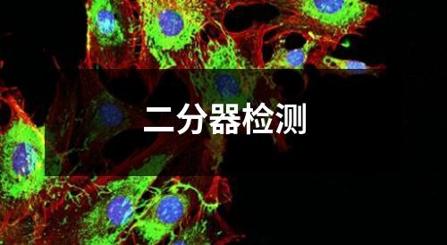 二分器检测