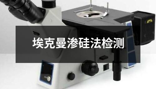 埃克曼渗硅法检测
