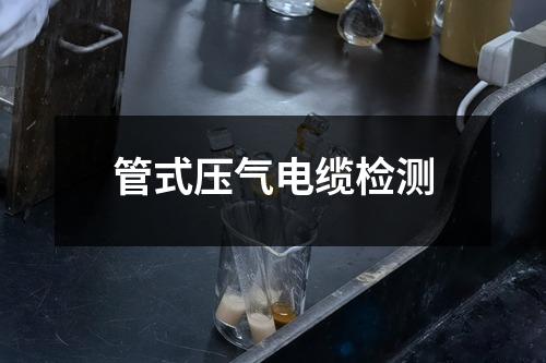 管式压气电缆检测