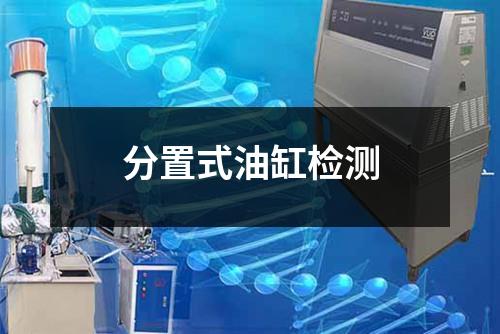 分置式油缸检测