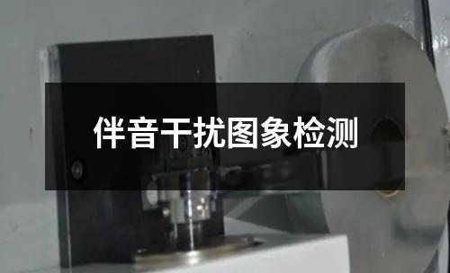 伴音干扰图象检测