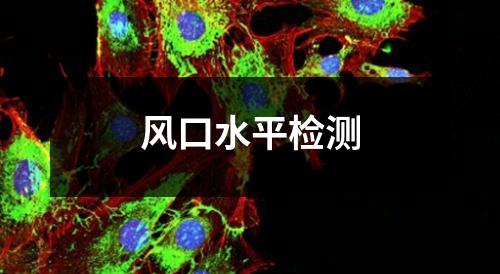 风口水平检测
