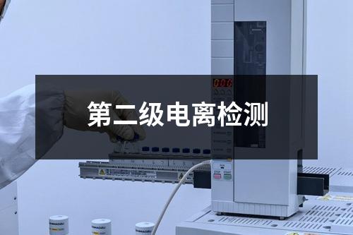 第二级电离检测