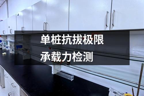 单桩抗拔极限承载力检测