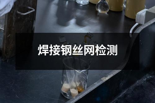 焊接钢丝网检测