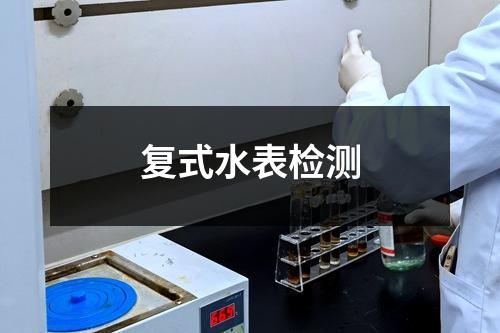 复式水表检测