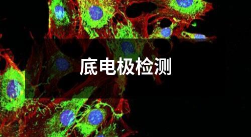 底电极检测