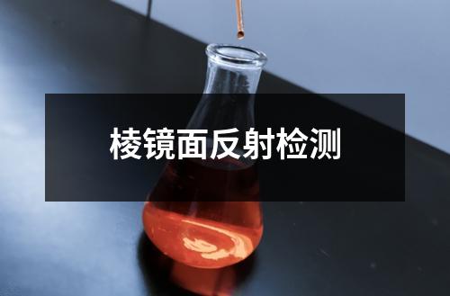 棱镜面反射检测