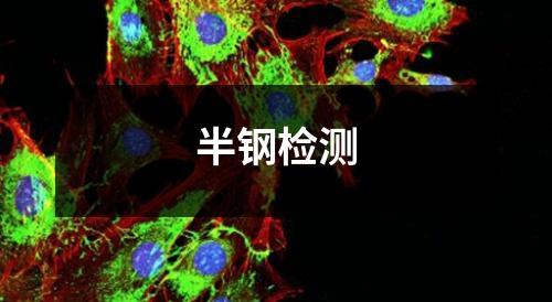 半钢检测
