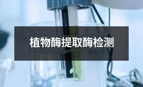 植物酶提取酶检测