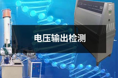 电压输出检测