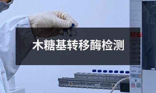 木糖基转移酶检测