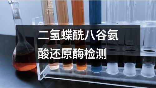 二氢蝶酰八谷氨酸还原酶检测