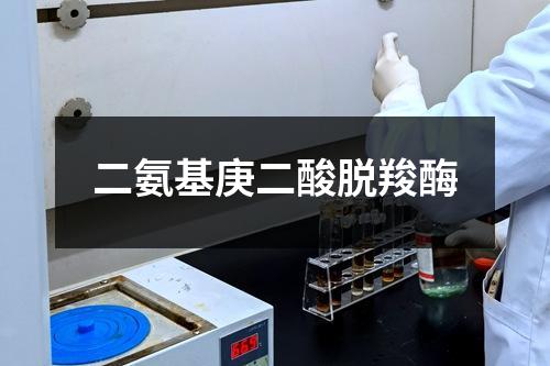 二氨基庚二酸脱羧酶