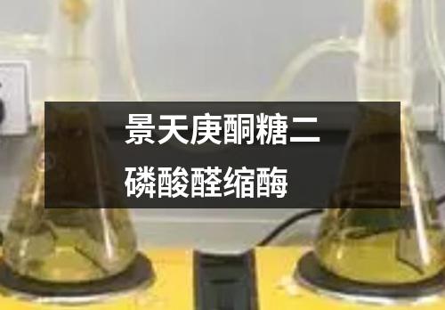 景天庚酮糖二磷酸醛缩酶