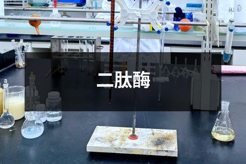 二肽酶
