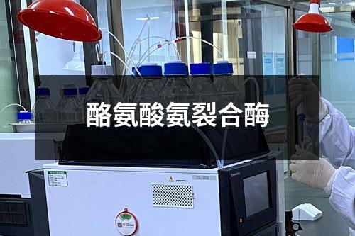 酪氨酸氨裂合酶