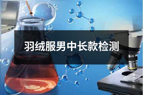 羽绒服男中长款检测