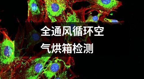 全通风循环空气烘箱检测