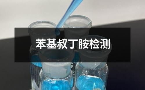 苯基叔丁胺检测