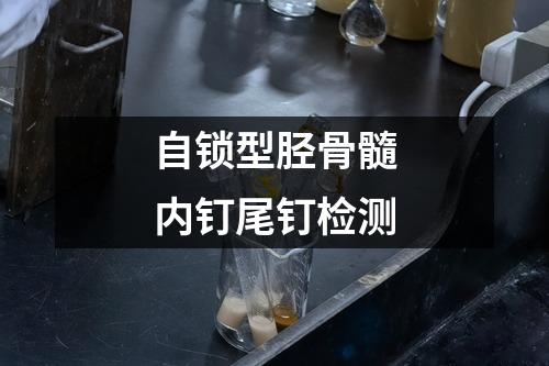 自锁型胫骨髓内钉尾钉检测