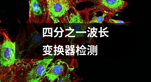四分之一波长变换器检测
