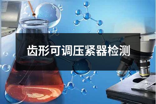 齿形可调压紧器检测