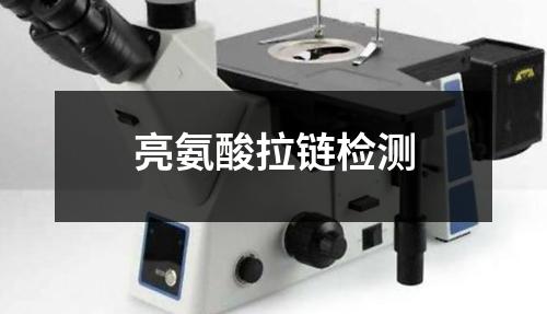 亮氨酸拉链检测