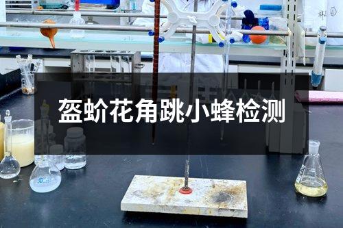 盔蚧花角跳小蜂检测