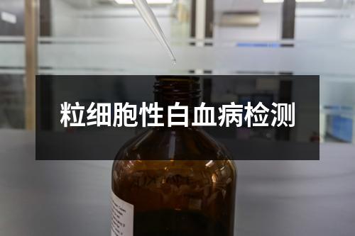 粒细胞性白血病检测