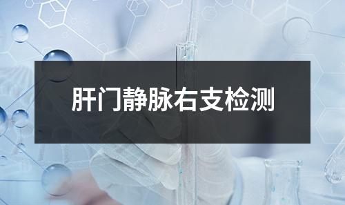 肝门静脉右支检测