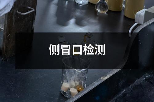 侧冒口检测