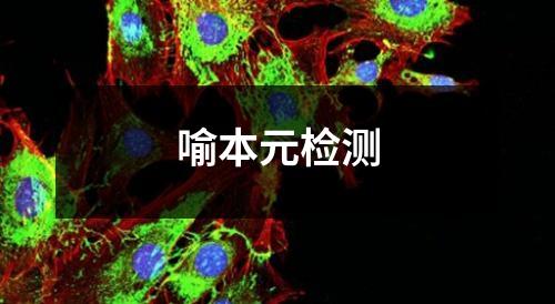 喻本元检测