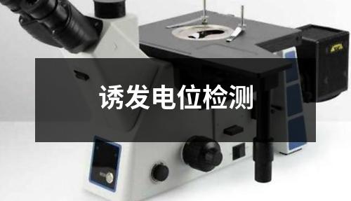 诱发电位检测