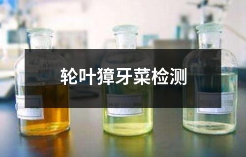 轮叶獐牙菜检测
