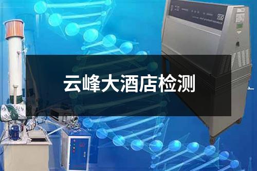 云峰大酒店检测