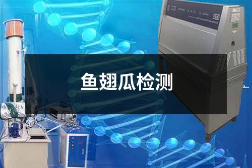 鱼翅瓜检测