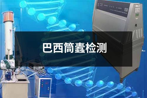 巴西筒蠹检测