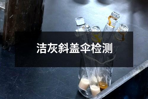 洁灰斜盖伞检测
