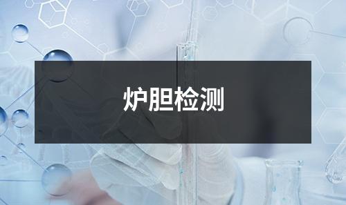 炉胆检测