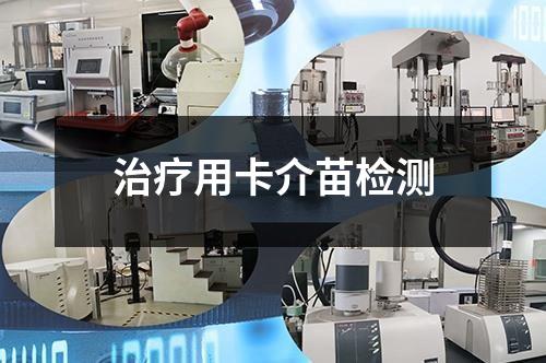 治疗用卡介苗检测