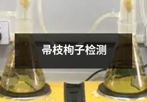 帚枝栒子检测