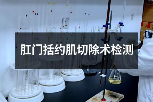 肛门括约肌切除术检测